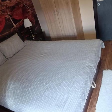Apartment Vila Sandra Zlatibor Buitenkant foto